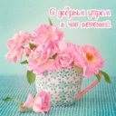 Красивые открытки — с Добрым утром! Картинки весенние Поздравления с Днем рождения мужчины и женщины!