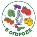 В Огороде
