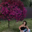 Маша и Петуния