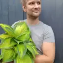 АНДРЕЕВСАД