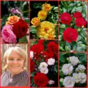 Цветочница Анюта🌹