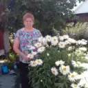 Рассада овощей и цветов Татьяны и Марии