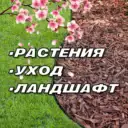 РАСТЕНИЯ/УХОД/ЛАНДШАФТ