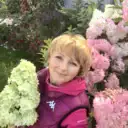 Цветули у Светули