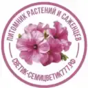 Петуния Воскресенск