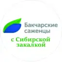Бакчарские саженцы | АО «Бакчарское» | Жимолость