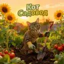 Дача цветы огород. Кот садовод