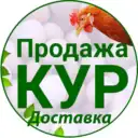 Продажа и доставка Кур-несушек | Куры76.рф