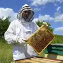 Пасека Петровых
