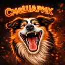 СмеШАРИК | Смешные видео про собак 🐶 Смешные прикольные животные, Приколы, Забавные, Юмор, Камеди, зверушки, кошечки, собачки, кошки, собаки,  животные смешные веселые милые fynny animals cats dogs