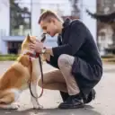Собаки Все Породы Чаты