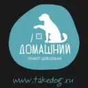 Приют для собак «Домашний»: «Выбери меня»!