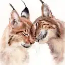 KatyaBobCat