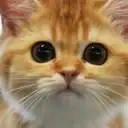 Любимые питомцы | Кошки | Собаки