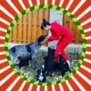 Лана Лиман — блогер, автор контента. Про ЖИЗНЬ с котопёсами. Ежедневные новости на канале.