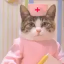 ВЕСЁЛЫЕ ВИДЕО С ЖИВОТНЫМИ | Приколы | Котики | Собаки | Кошки | Доброта | Любовь | Питомцы | Домашние животные | Россия | Мыши | Крысы | Рептилии | Юмор