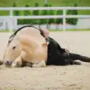 Нина Принц