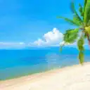 Deep House