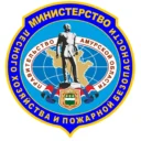 Амурский минлес