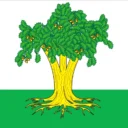 Кайбицкий муниципальный район РТ