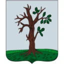 Стародубский муниципальный округ