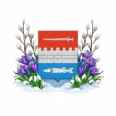 Новошешминский муниципальный район