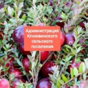 Администрация Клюквинского сельского поселения