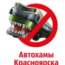 Автохамы Красноярска