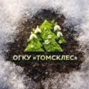 Томское управление лесами 🌲
