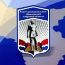 СМО Амурской области