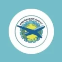 Администрация Кировского округа
