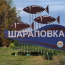 Шараповская территориальная администрация