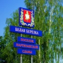 Белая Березка