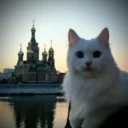 НОВОСТИ ЙОШКАР-ОЛА МАРИЙ ЭЛ