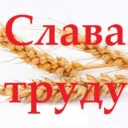 «Слава труду» Новости Кашарского района
