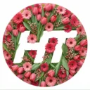 Новгородское областное телевидение