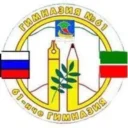 МАОУ «Гимназия №61» г. Набережные Челны