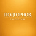 Подгорнов.Экспертиза