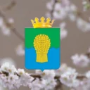Сызранский район