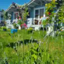 Вилла Лаванда Абхазия, Пицунда/Отдых в Абхазии