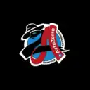 AvtoZorro