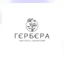 ГЕРБЕРА ЦВЕТЫ СТАВРОПОЛЬ