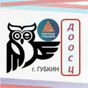 Детский спортивный центр (ДООСЦ)
