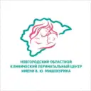 Новгородский перинатальный центр