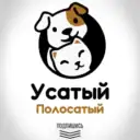 Усатый Полосатый | собаки | кошки | животные | юмор | приколы