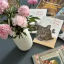 Читальный уголок | Книги, путешествия, досуг