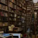 Двухтомный книголюб