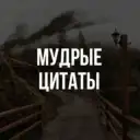 Мудрые цитаты