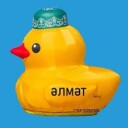 Альметьевск | Новости