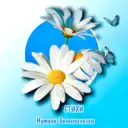 Натали Зеленоглазая★Добрые стихи